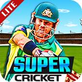 Super Cricket Championship