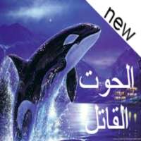 orca wallpaper_خلفيات الحوت القاتل