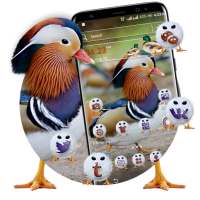 Mandarin Duck Launcher Theme