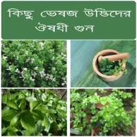 Herbal Plant Medicine (Bangla) on 9Apps