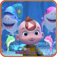 Best Baby Shark Videos