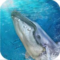 Blue Whale Game: Save fish from angry shark