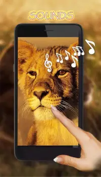 Descarga de la aplicación León Fondos Pantalla Animados 2023 - Gratis - 9Apps Descarga de la aplicación León Fondos Pantalla Animados 2023 - Gratis - 9Apps