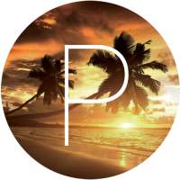 Pipa Beach