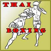 MUAY THAI BASICS on 9Apps