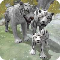 Снег Тигр