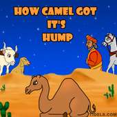 How the Camel Got Its Hump on 9Apps