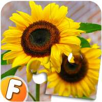 Fluzzles - Puzzle Game for Android