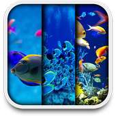 Aquarium live wallpapers