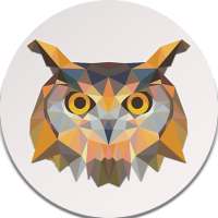 Owl Web Browser - Beta