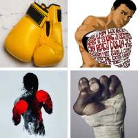 Boxing HD Wallpapers on 9Apps