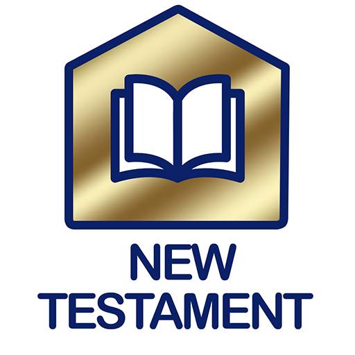 New Testament audio