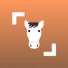 Horse Scanner – Horse Breed Identification