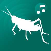 ringtones crickets for phone on 9Apps