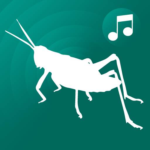 ringtones crickets for phone, cricket sounds free