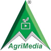 AgriMedia :Hi-Tech Agriculture