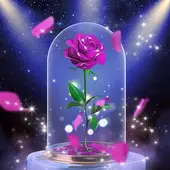 गुलाब का फूल वॉलपेपर App Android के लिए डाउनलोड - 9Apps