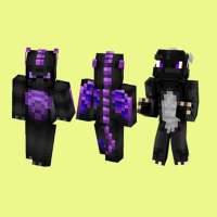 Dragon Skins for Minecraft PE APK for Android Download