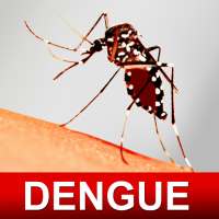 Dengue Fever Cure Home Remedies for Adults & Kids on 9Apps