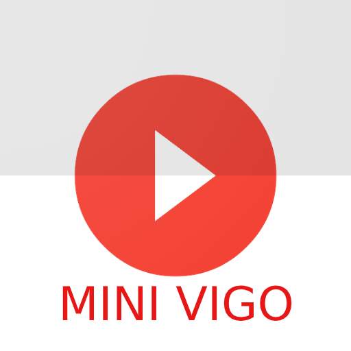 Mini Vigo