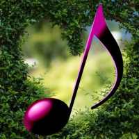 Romantic Classical Music on 9Apps