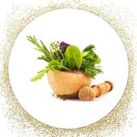 Encyclopedia of Arab Herbs