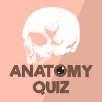 Anatomy & Physiology Quiz - Fr