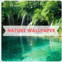Amazing Nature Wallpaper