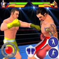 Royal Wrestling Cage: Sumo Fighting Game on 9Apps