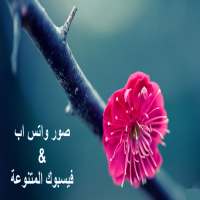 صور واتس اب (بدون نت) on 9Apps