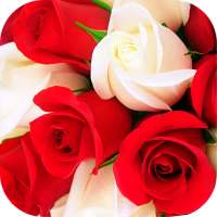 Roses Stickers for WhatsApp