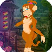 Kavi Escape Game 572 Female Monkey Rescue Game