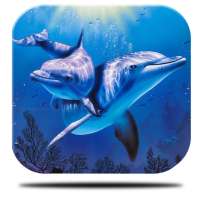 River Dolphin Live Wallpaper