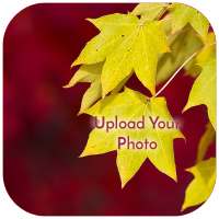 Autumn Photo Frame on 9Apps