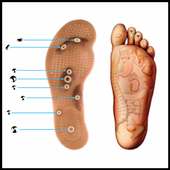 Basic of Acupressure