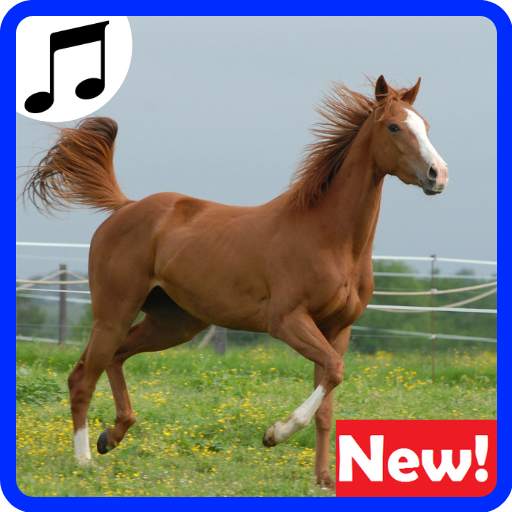 Horses Sounds for Cell Phone free.