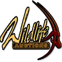 Wildlife Auctions