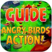 Guide for Angry Birds Action