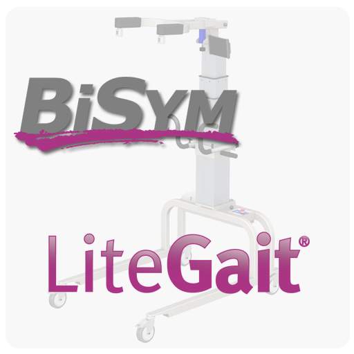 BiSym Scale for LiteGait