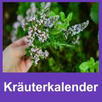 Kräuterkalender