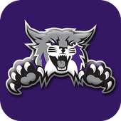 Weber State Wildcats: Free