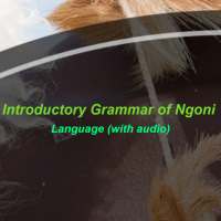 Introductory Grammar of Ngoni (Zulu) Language