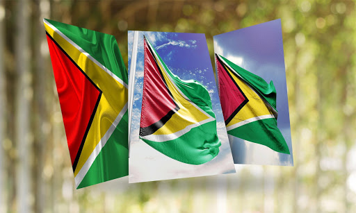 Growing Up Guyanese