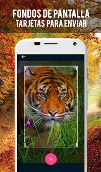 Fondos de Pantalla Textos Biblicos Gifs Cumpleaños APK Download 2023 - Free - 9Apps Fondos de Pantalla Textos Biblicos Gifs Cumpleaños APK Download 2023 - Free - 9Apps