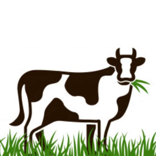 Dairy Farm Management(Kamran Dairy Farm)