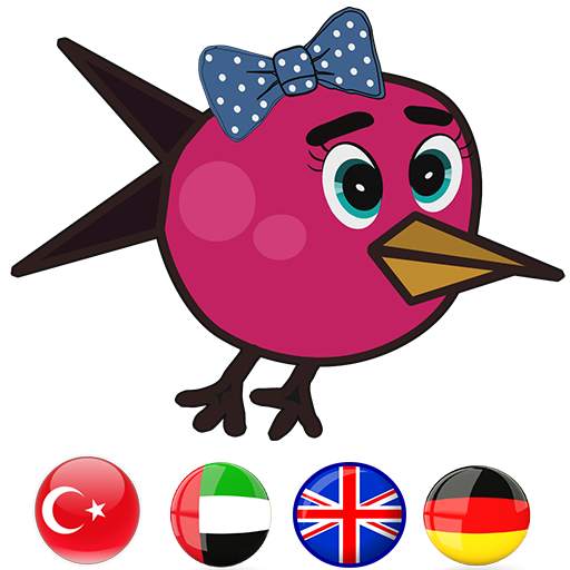 LOLO: Learn, English, Turkish, German, Arabic