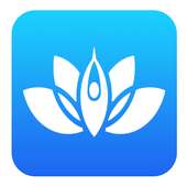 Lotus Flower Yoga on 9Apps