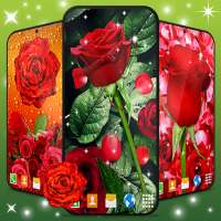 3D Red Rose Live Wallpaper on 9Apps