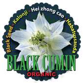 Black Cumin Cures on 9Apps