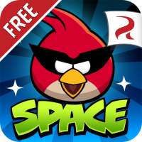 Angry Birds Space on 9Apps